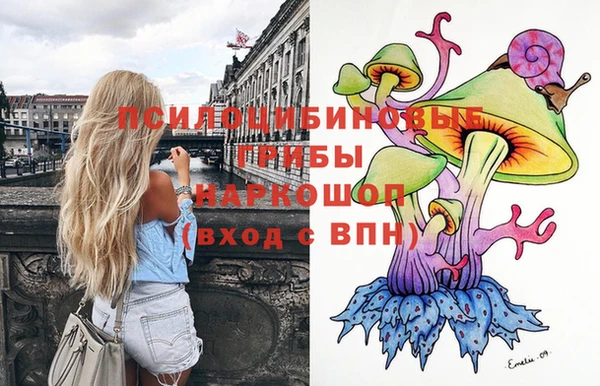 a pvp Михайловск