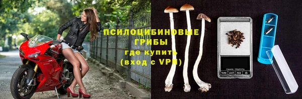 крисы Михайлов