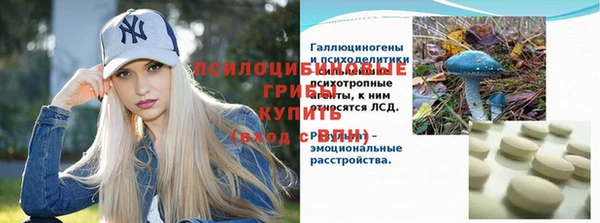 a pvp Михайловск