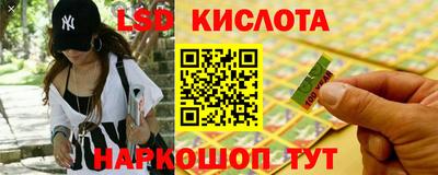 шишки Апшеронск