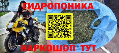 шишки Апшеронск