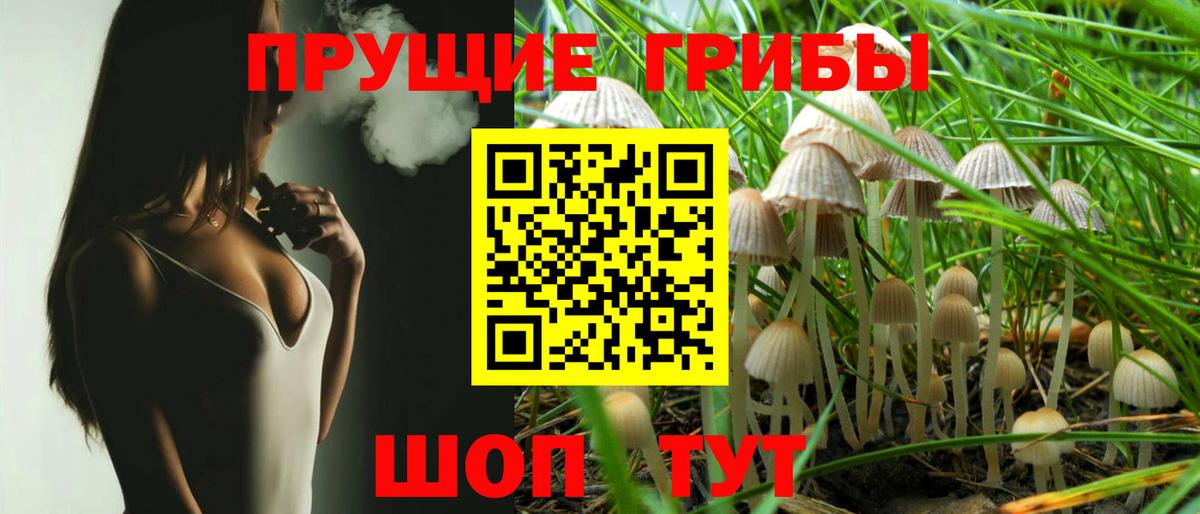 Галлюциногенные грибы MAGIC MUSHROOMS Балашиха